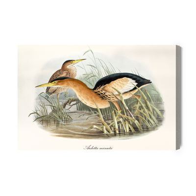 Ljuddämpande tavla - Water birds