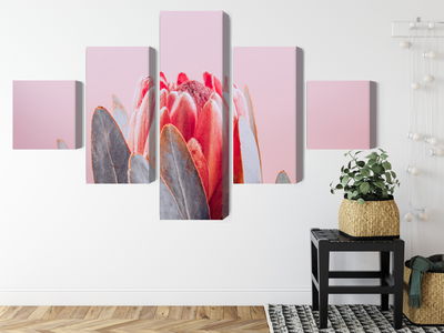 Ljuddämpande tavla - Flower of the royal protéa