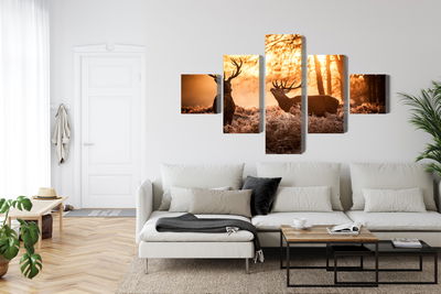 Ljuddämpande tavla - Two deer in the forest