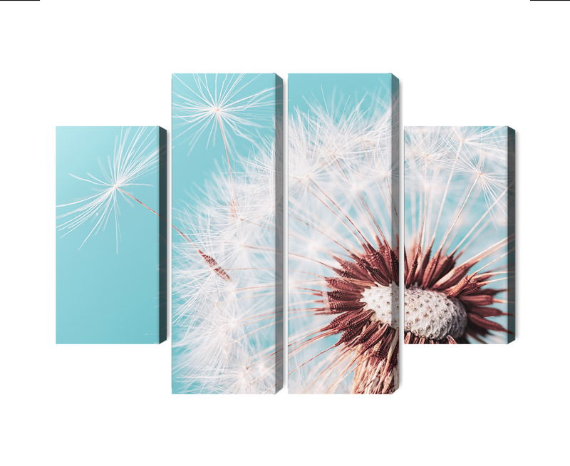 Ljuddämpande tavla - Dandelion flower on a macro
