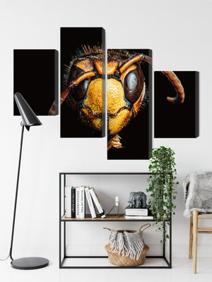 Ljuddämpande tavla - Hornet on a macro scale