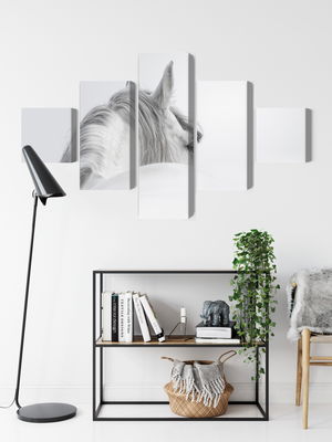 Ljuddämpande tavla - Andalusian horse in the fog