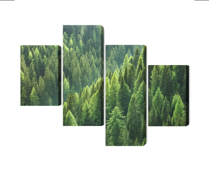 Ljuddämpande tavla - The green of the forest