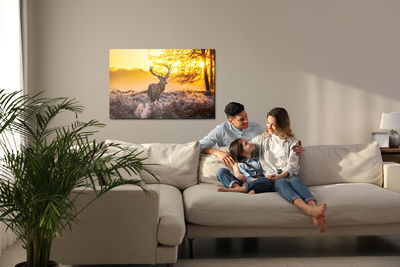 Ljuddämpande tavla - Deer in the morning sun