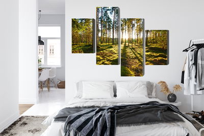 Ljuddämpande tavla - Forest landscape with sunset