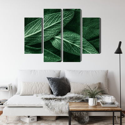 Ljuddämpande tavla - Salvia leaves on a macro