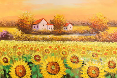 Ljuddämpande tavla - Cottages at a sunflower field