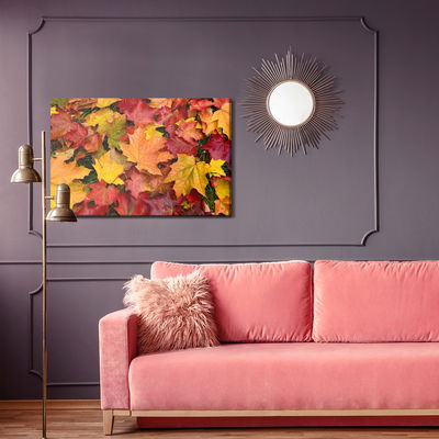 Ljuddämpande tavla - Maple leaves in fall colors