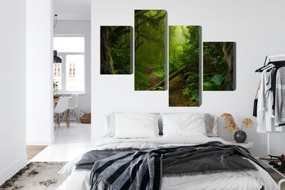 Ljuddämpande tavla - Path in the tropical forest