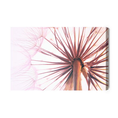 Ljuddämpande tavla - Dandelion seeds