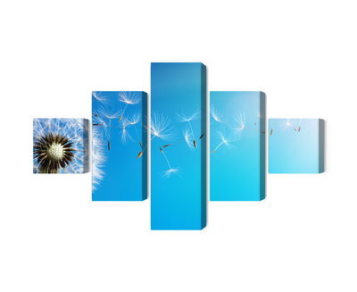 Ljuddämpande tavla - Dandelion with flying seeds