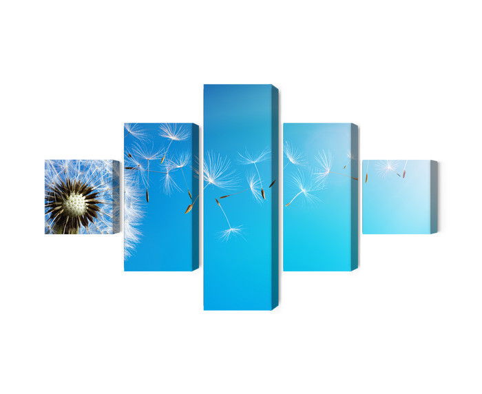 Ljuddämpande tavla - Dandelion with flying seeds