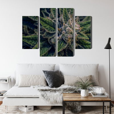 Ljuddämpande tavla - Cannabis plant close up