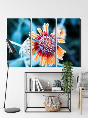 Ljuddämpande tavla - Rudbeckia flowers covered