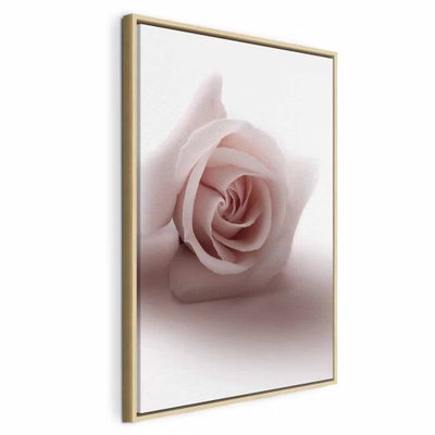 Floral glamour glow delicate – naturfärgad ram. En blekrosa ros med tätt rullade kronblad framträder mot en mjukt vit och rosa bakgrund.