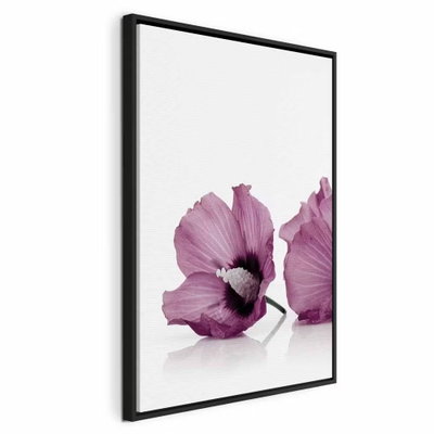 Close to each other vertical – svart ram. Två mörkrosa till lila blommor med gröna stjälkar ligger tätt mot en ren, vit bakgrund.