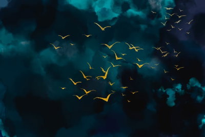 Sky before the storm wide – motivvy. Små gula fågelsilhuetter flyger över mörka blågröna moln i en kontrastrik himmelsbild.