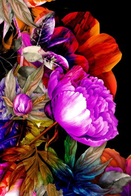 Nature in summer hues flower – motivvy. Violetta, röda och orange blommor samlas med mörka gröna blad mot en nästan svart botten.