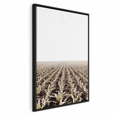 Corn field vertical – svart ram. Täta, parallella rader av torra växtrester leder över ett brunt fält mot en stor och ljus himmel.
