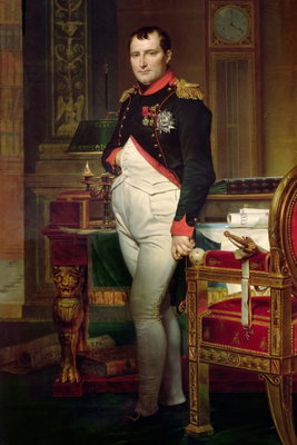 Jacques louis david napoleon – motivvy. En man i uniform står i en detaljrik interiör med mörka möbler, böcker och röda tygpartier.