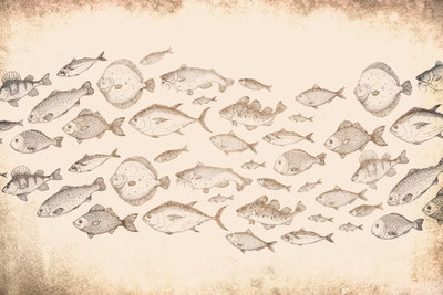 Subtle fish – motivvy. Många små fiskkonturer bildar ett stim på en ljus, beige bakgrund med ett åldrat pappersuttryck.