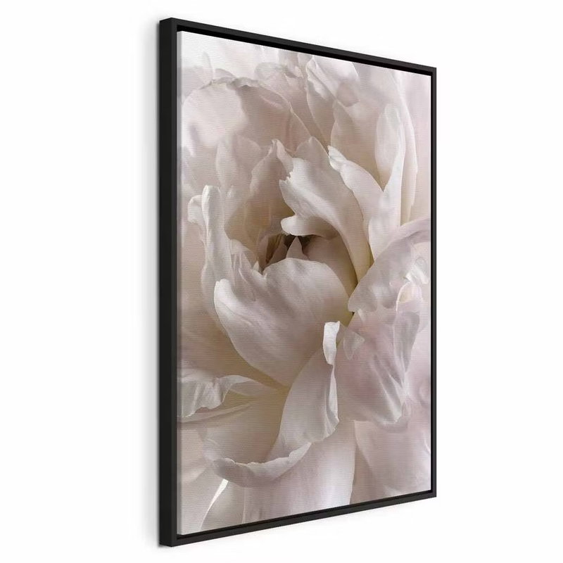 Fluffy distraction vertical – svart ram. En tät vit blomma fyller bildytan med tunna, veckade kronblad i vitt, crème och mjuka grå skuggor.
