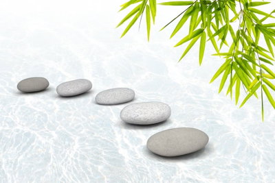 Stone peace wide – motivvy. En rad släta grå stenar ligger på en ljus yta med gröna bambublad i bildens ena hörn.