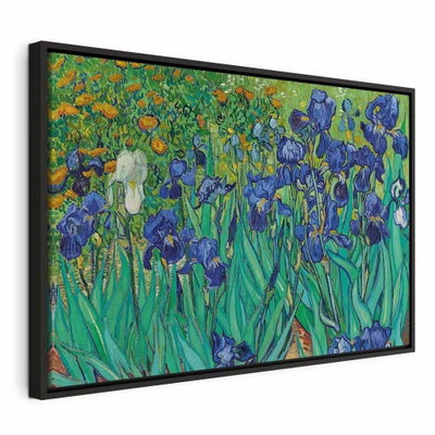 Vincent van gogh iryses – svart ram. Blåvioletta irisblommor och gröna blad fyller bilden, med varma orange inslag längre bak.