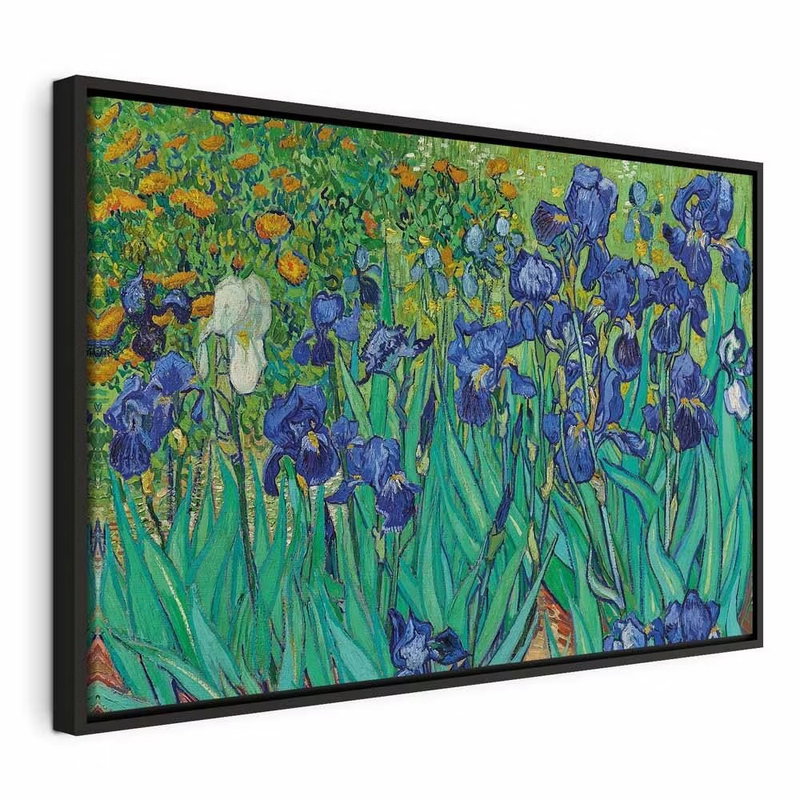 Vincent van gogh iryses – svart ram. Blåvioletta irisblommor och gröna blad fyller bilden, med varma orange inslag längre bak.