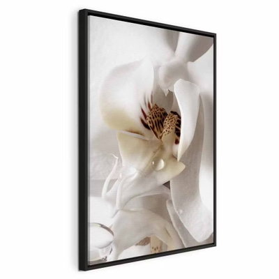 Drop of dreams vertical – svart ram. Mjukt vikta vita kronblad omger en gulbrun blommitt. Täta utsnitt och skuggor lyfter blombladens former.