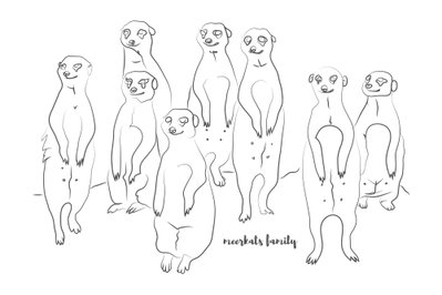 Animal patrol meerkats on – motivvy. En grupp stående surikater återges med få tunna svarta konturlinjer på en stor vit bildyta.