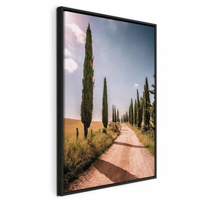 Italian cypresses vertical – svart ram. En rak grusväg leder mellan smala höga cypresser och torra fält under en blågrå himmel.