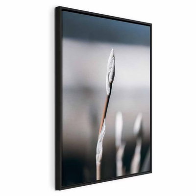 Botanical minimalism – svart ram. Ett ljust, smalt gräsax står i fokus framför andra oskarpa ax och en mjukt gråblå bakgrund.