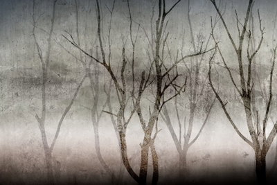 Smell of fog wide – motivvy. Tunna, nakna trädgrenar tecknar sig mot en grå, dimmig bakgrund med ett mörkt parti nedtill.