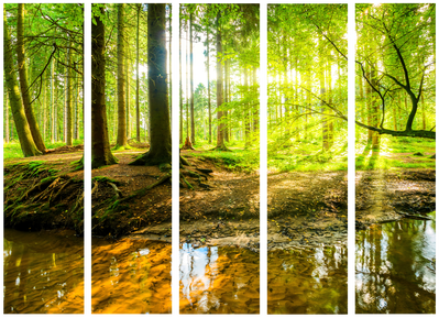 5-delad ljuddämpande rumsavdelare – Forest lake – produktbild från leverantören
