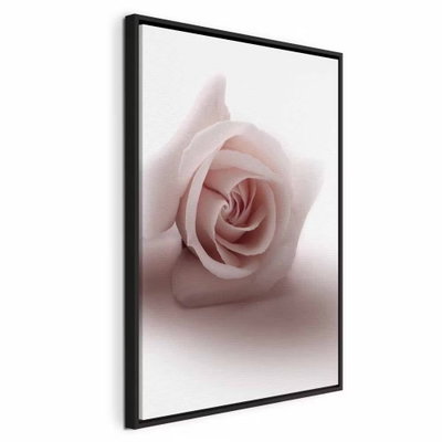 Floral glamour glow delicate – svart ram. En blekrosa ros med tätt rullade kronblad framträder mot en mjukt vit och rosa bakgrund.