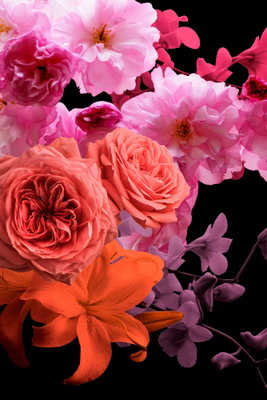 Spring breeze vertical – motivvy. Stora rosa, röda och orange blommor fyller en mörk bakgrund med små gröna och violetta detaljer.