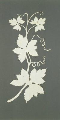 Philipp otto runge hop plant – motivvy. En ljus ranka med blad och tunna slingor tecknar sig mot en grågrön bakgrund.