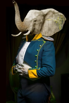 Audience vertical – motivvy. En elefant med upplyft snabel bär en mörkblå rock med guldfärgade detaljer och vita handskar mot svart.