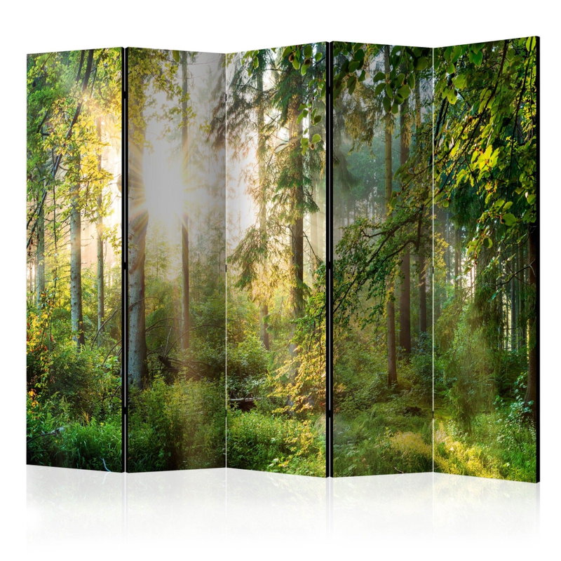 5-delad ljuddämpande rumsavdelare – Untamed nature – produktbild