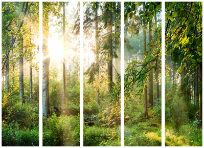 5-delad ljuddämpande rumsavdelare – Untamed nature – produktbild från leverantören