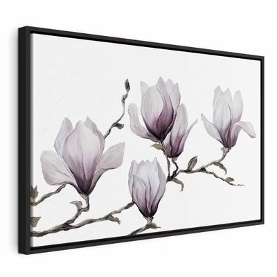 Painted magnolias wide – svart ram. Vita och blekt violetta magnoliablommor sitter på en tunn, mörk gren mot vitt.