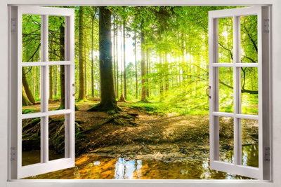 Window view on forest – motivvy. Ett tryckt öppet fönster ramar in en grön skog där varmt ljus faller mellan trädstammarna.