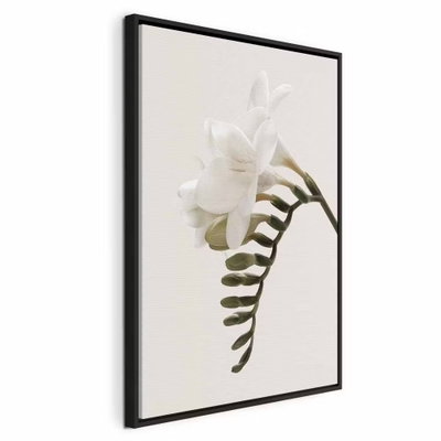 Spring headdress vertical – svart ram. En vit blomma på en tunn stjälk möter en rad gröna blad mot en ljust crèmefärgad bakgrund.