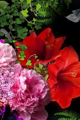 Floral symphony vertical – motivvy. Stora röda och rosa blommor med tätt grönt bladverk fyller en närbild mot mörk bakgrund.