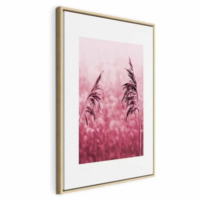 Ruby stalk vertical – naturfärgad ram. Mörkrosa gräsax framträder mot en mjukt suddig rosa bakgrund.