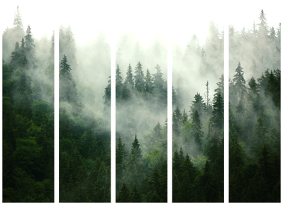 5-delad ljuddämpande rumsavdelare – Coniferous – produktbild från leverantören