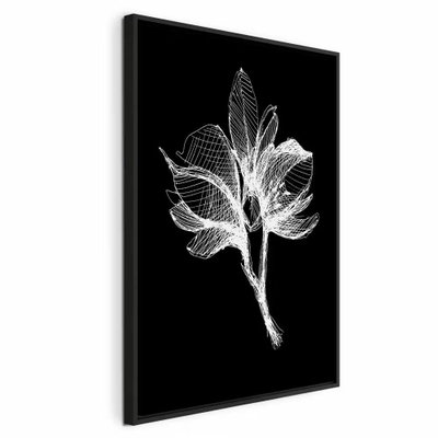Night flower vertical – svart ram. En tunn, nätliknande blomform tecknas i vitt mot en helt svart bakgrund.