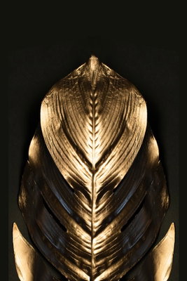 Pharaoh and s gold vertical – motivvy. En symmetrisk, guldfärgad bladliknande form framträder mot en mörk bakgrund med tydliga ljusa ribbor.