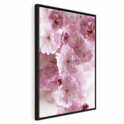 Flowery glamour flower – svart ram. Täta, ljusrosa blommor med mjuka kronblad återges i närbild mot ljus bakgrund.
